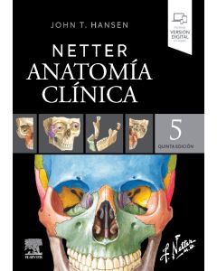 Netter. Anatomía clínica