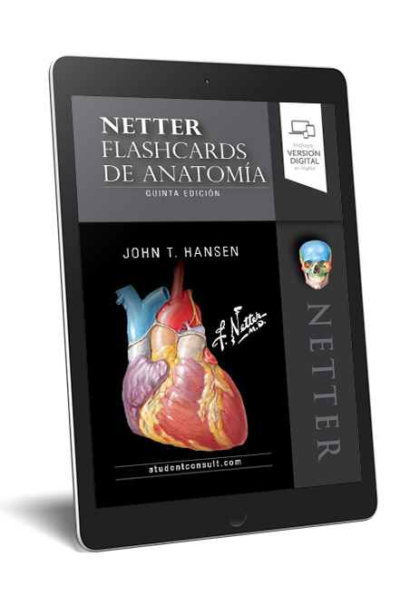 Netter Cuaderno de anatomía para colorear